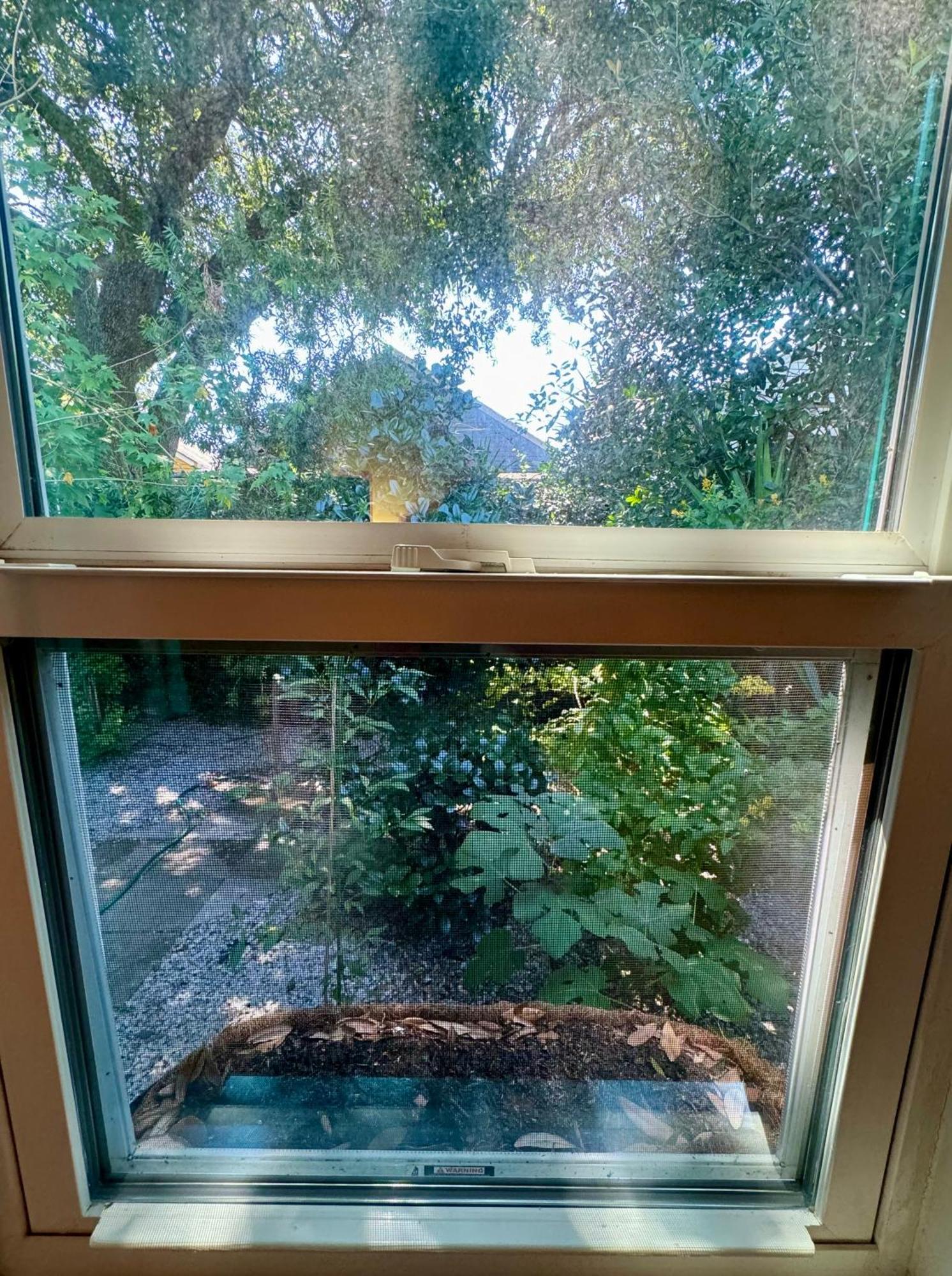 One Bedroom Apartment With Hot Tub 2 Blocks To Magazine Street Nova Orleães Exterior foto